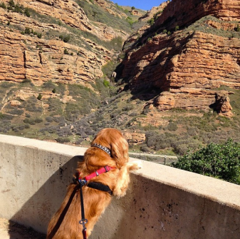Parker explores Utah (May 21, 2014)